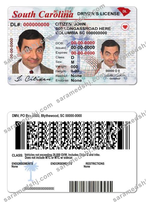 USA South Carolina state driving license
